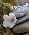 _Josy - Spirituelles Heilen - Lebensberatung & Coaching - Kartenlegen & Tarot - sonstige Bereiche