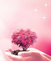SoulSpeakerin June - Spirituelles Heilen - Medium & Channeling - Lebensberatung & Coaching