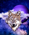 _Iconalunis - Kartenlegen & Tarot - Astrologie & Horoskope - Lebensberatung & Coaching - Hellsehen & Wahrsagen - sonstige Bereiche