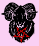 Iconalunis