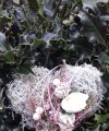 _Weisse Hexe vom See - Medium & Channeling - Lebensberatung & Coaching - Astrologie & Horoskope - Hellsehen & Wahrsagen - Kartenlegen & Tarot