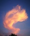 _Alessandro - Medium & Channeling - Spirituelles Heilen - Kartenlegen & Tarot - Lebensberatung & Coaching - Hellsehen & Wahrsagen
