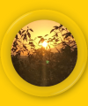 Daniela Lichtbotin - Lebensberatung & Coaching - Spirituelles Heilen - sonstige Bereiche - Medium & Channeling