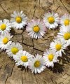 _Zara - Hellsehen & Wahrsagen - Medium & Channeling - sonstige Bereiche - Kartenlegen & Tarot - Spirituelles Heilen