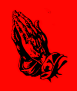 Iconalunis