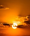Doris - Medium & Channeling - Kartenlegen & Tarot - Spirituelles Heilen - sonstige Bereiche - Lebensberatung & Coaching