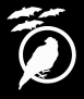 Iconalunis